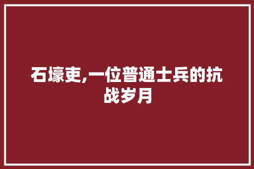 石壕吏,一位普通士兵的抗战岁月