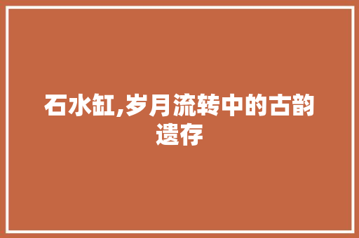 石水缸,岁月流转中的古韵遗存