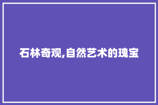 石林奇观,自然艺术的瑰宝