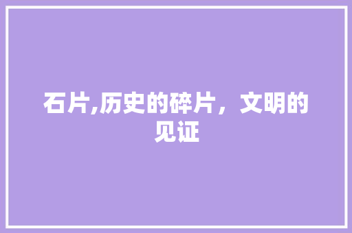 石片,历史的碎片，文明的见证