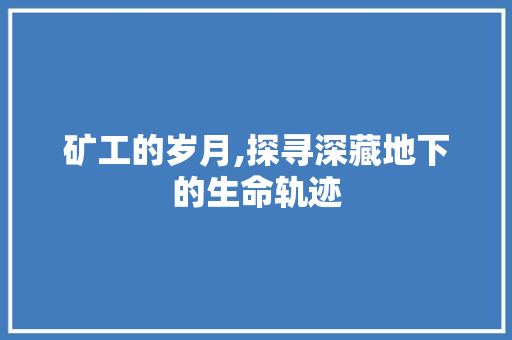 矿工的岁月,探寻深藏地下的生命轨迹