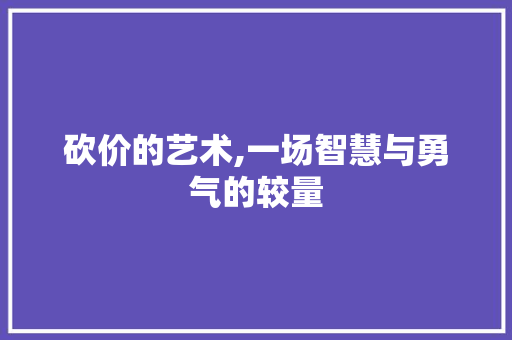 砍价的艺术,一场智慧与勇气的较量