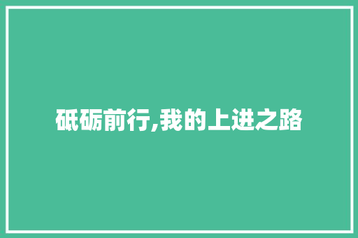 砥砺前行,我的上进之路