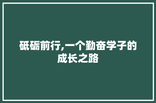 砥砺前行,一个勤奋学子的成长之路