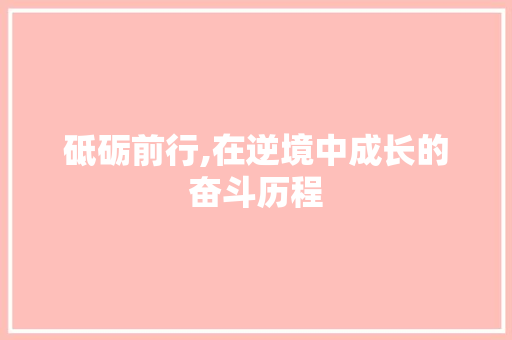 砥砺前行,在逆境中成长的奋斗历程