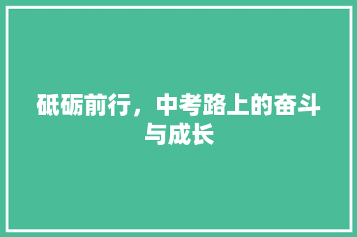 砥砺前行，中考路上的奋斗与成长