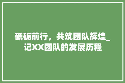 砥砺前行，共筑团队辉煌_记XX团队的发展历程