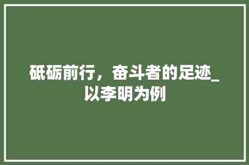 砥砺前行，奋斗者的足迹_以李明为例