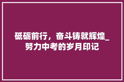 砥砺前行，奋斗铸就辉煌_努力中考的岁月印记