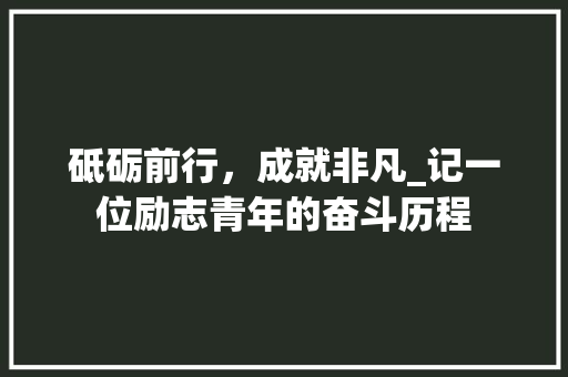 砥砺前行，成就非凡_记一位励志青年的奋斗历程