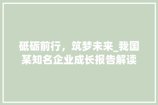 砥砺前行，筑梦未来_我国某知名企业成长报告解读