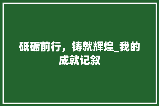 砥砺前行，铸就辉煌_我的成就记叙