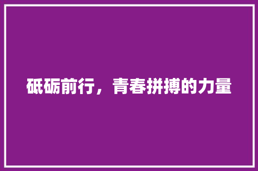 砥砺前行，青春拼搏的力量