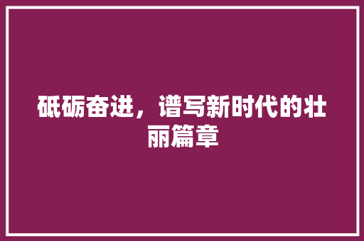 砥砺奋进，谱写新时代的壮丽篇章