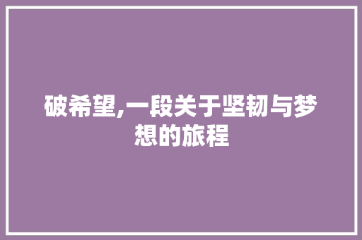 破希望,一段关于坚韧与梦想的旅程