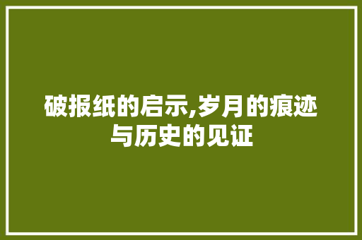 破报纸的启示,岁月的痕迹与历史的见证