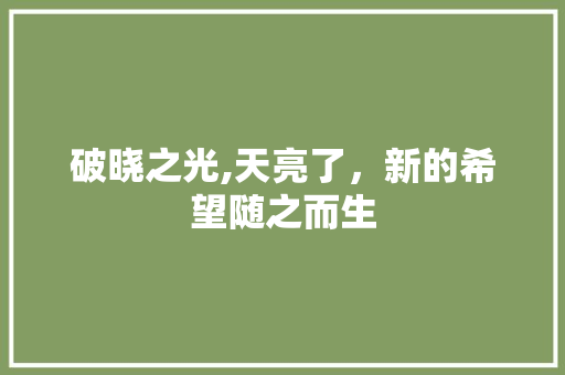 破晓之光,天亮了，新的希望随之而生