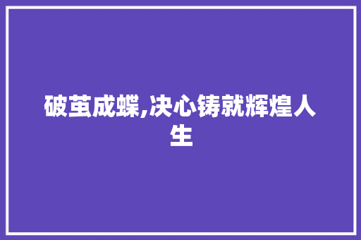 破茧成蝶,决心铸就辉煌人生