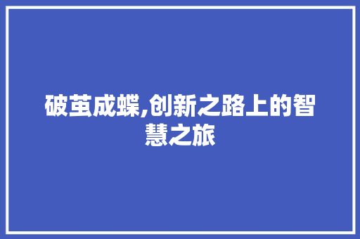 破茧成蝶,创新之路上的智慧之旅