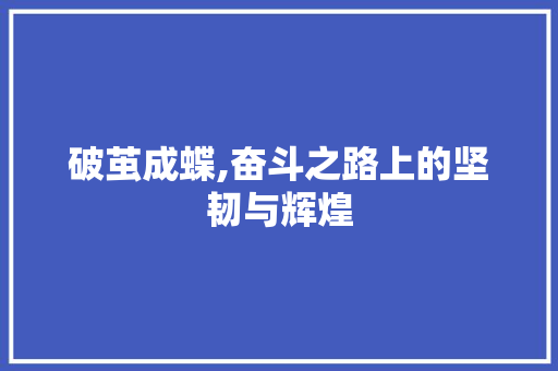 破茧成蝶,奋斗之路上的坚韧与辉煌