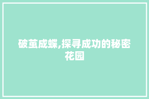 破茧成蝶,探寻成功的秘密花园