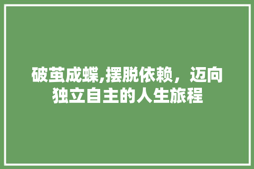 破茧成蝶,摆脱依赖，迈向独立自主的人生旅程