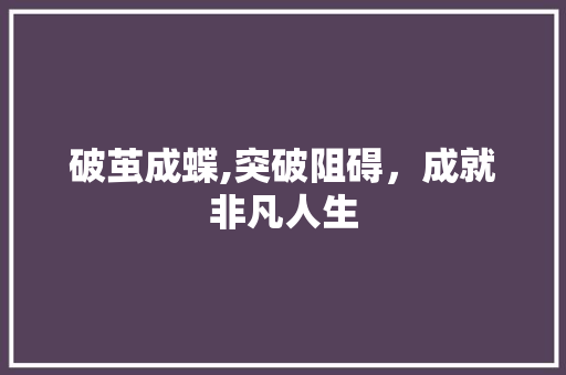 破茧成蝶,突破阻碍，成就非凡人生