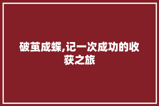 破茧成蝶,记一次成功的收获之旅