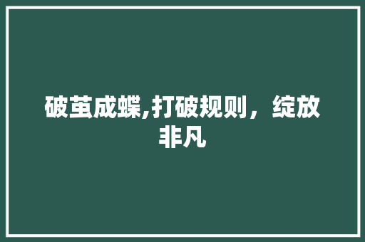 破茧成蝶,打破规则，绽放非凡