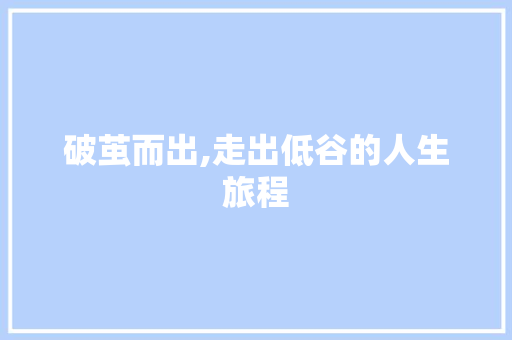 破茧而出,走出低谷的人生旅程