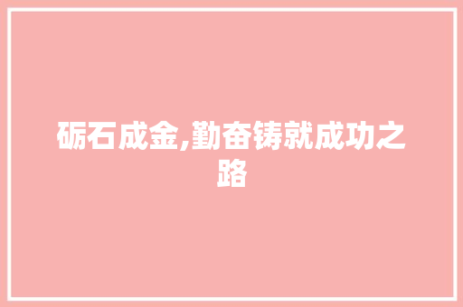 砺石成金,勤奋铸就成功之路 演讲稿范文