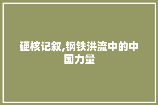 硬核记叙,钢铁洪流中的中国力量