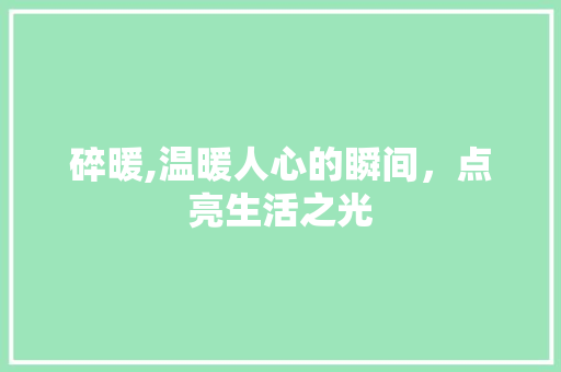 碎暖,温暖人心的瞬间，点亮生活之光