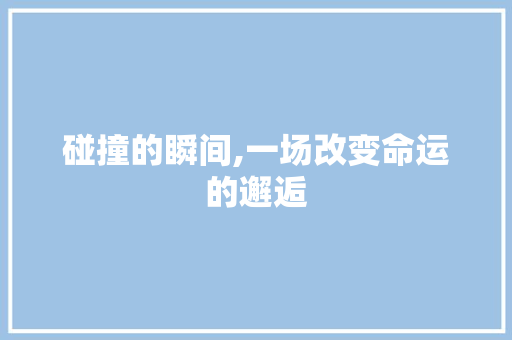 碰撞的瞬间,一场改变命运的邂逅