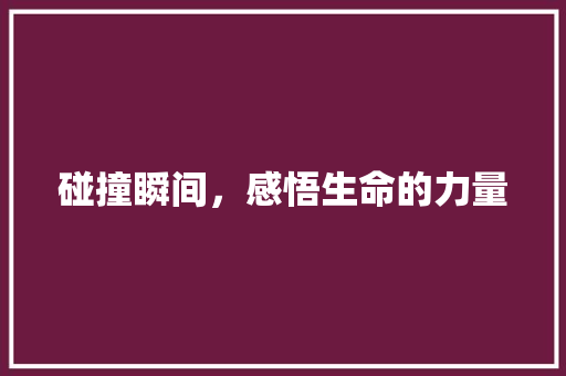 碰撞瞬间，感悟生命的力量