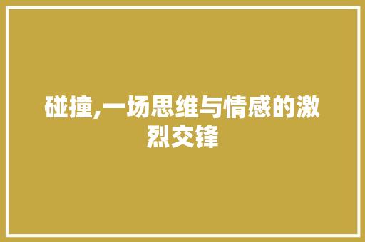 碰撞,一场思维与情感的激烈交锋