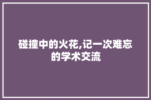 碰撞中的火花,记一次难忘的学术交流