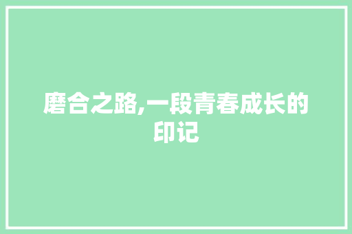 磨合之路,一段青春成长的印记