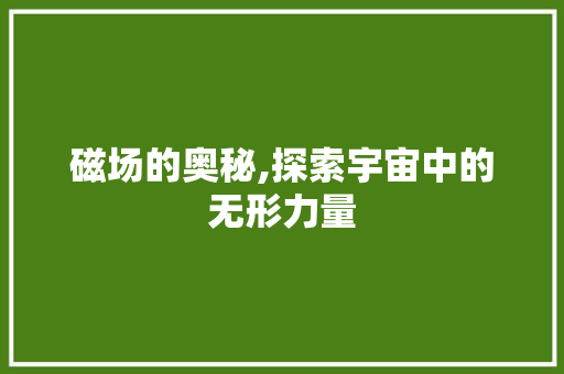 磁场的奥秘,探索宇宙中的无形力量