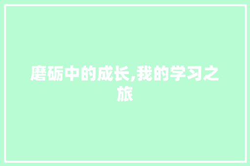 磨砺中的成长,我的学习之旅