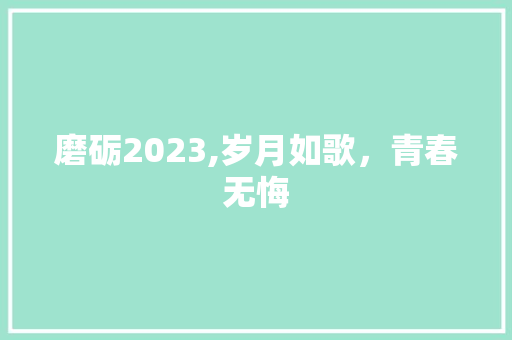 磨砺2023,岁月如歌，青春无悔