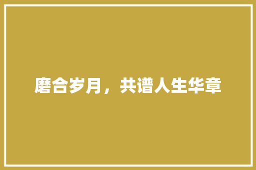 磨合岁月，共谱人生华章