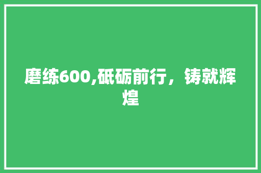 磨练600,砥砺前行，铸就辉煌