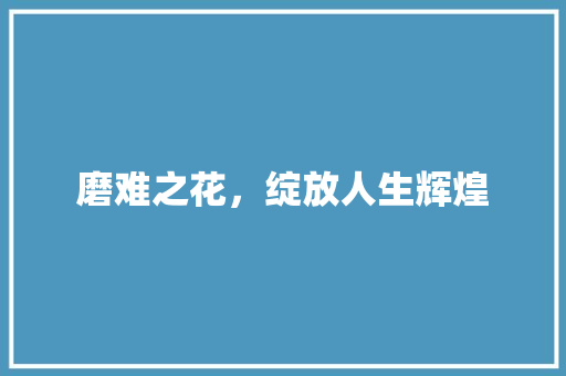 磨难之花，绽放人生辉煌