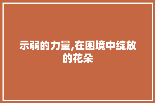 示弱的力量,在困境中绽放的花朵