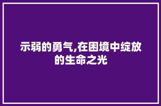 示弱的勇气,在困境中绽放的生命之光