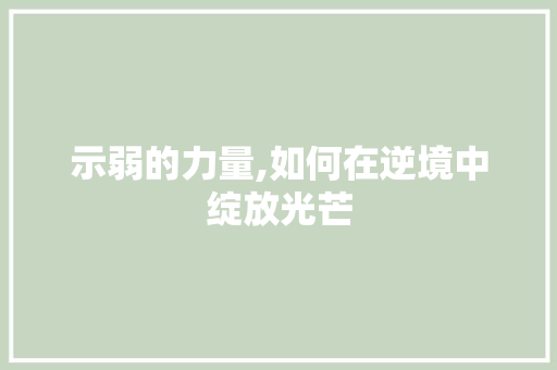 示弱的力量,如何在逆境中绽放光芒