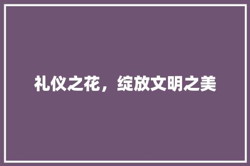 礼仪之花，绽放文明之美