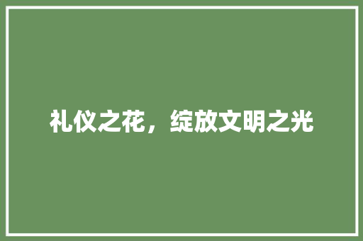 礼仪之花，绽放文明之光