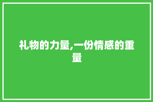 礼物的力量,一份情感的重量